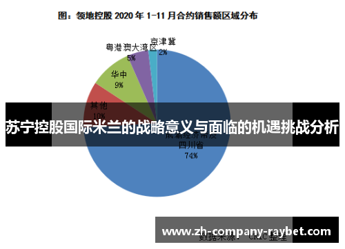 苏宁控股国际米兰的战略意义与面临的机遇挑战分析 苏宁控股国际米兰的战略意义与面临的机遇挑战分析