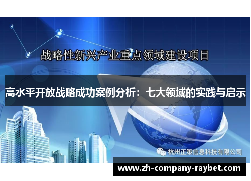 高水平开放战略成功案例分析:七大领域的实践与启示 高水平开放战略成功案例分析:七大领域的实践与启示