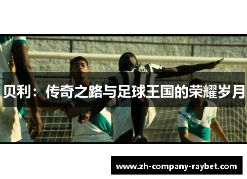 贝利:传奇之路与足球王国的荣耀岁月 贝利:传奇之路与足球王国的荣耀岁月