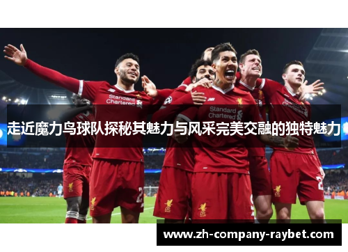 走近魔力鸟球队探秘其魅力与风采完美交融的独特魅力