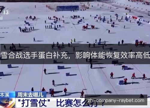 雪合战选手蛋白补充，影响体能恢复效率高低